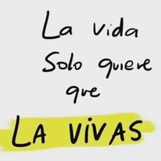 Frases Top 🗳️🪄