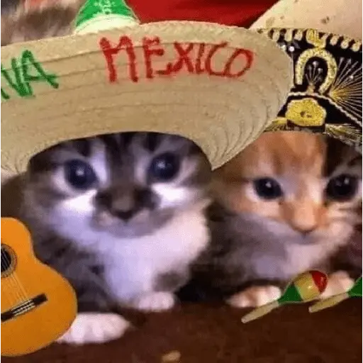 Memes Viva México Septiembre 🇲🇽