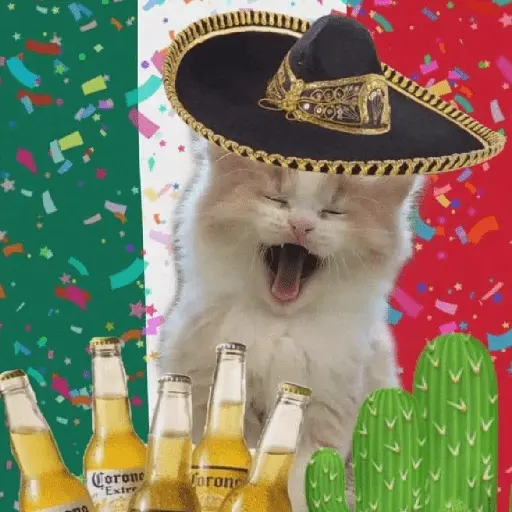 Memes Viva México Septiembre 🇲🇽
