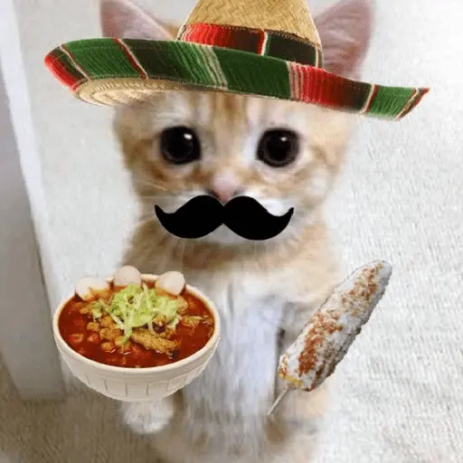 Memes Viva México Septiembre 🇲🇽