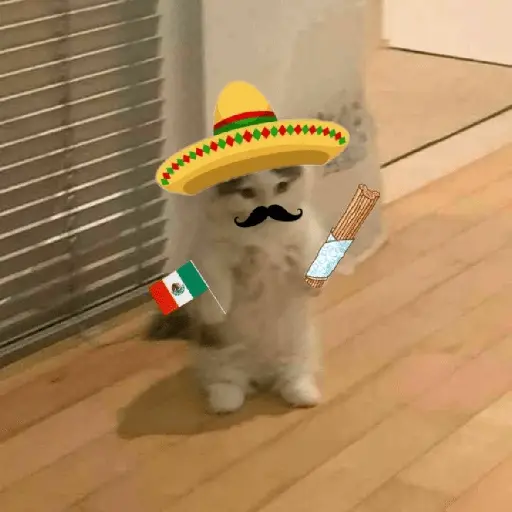 Memes Viva México Septiembre 🇲🇽
