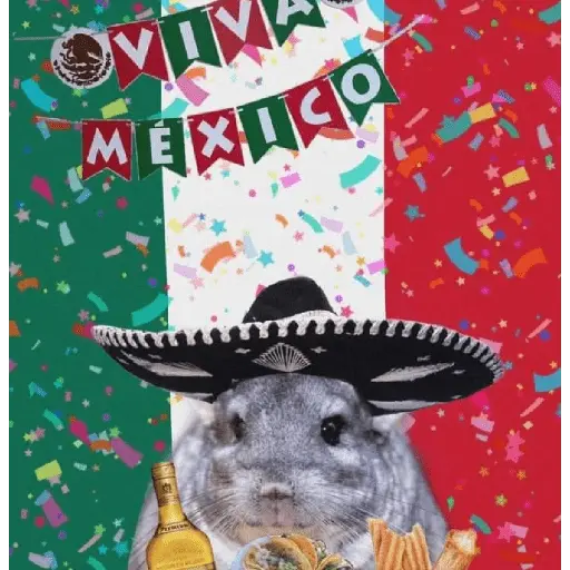 Memes Viva México Septiembre 🇲🇽