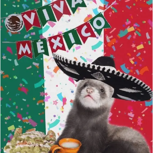 Memes Viva México Septiembre 🇲🇽