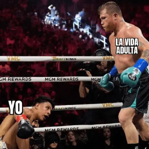 🥊🥊 Canelo Álvarez 🥊🥊