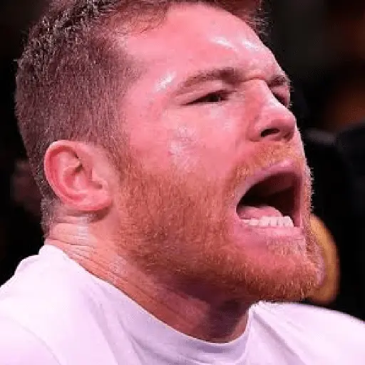 🥊🥊 Canelo Álvarez 🥊🥊
