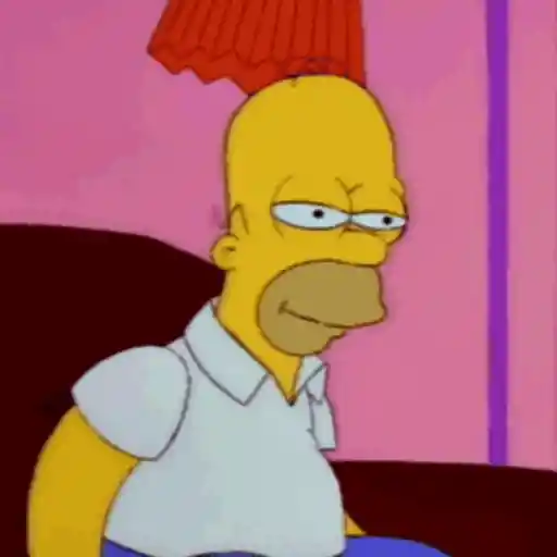 🍩HOMERO MOODS 🍩