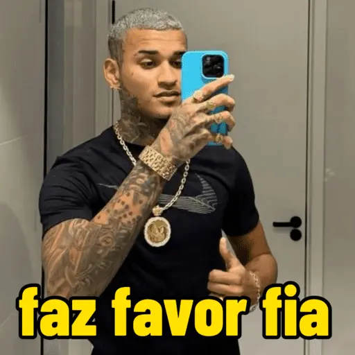 memes do anderson neiff
