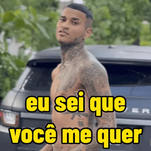 memes do anderson neiff