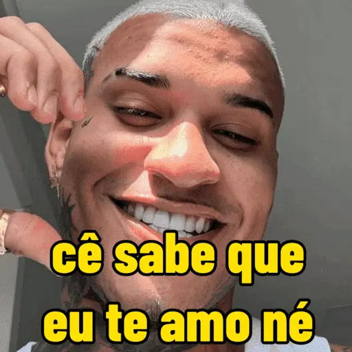 memes do anderson neiff