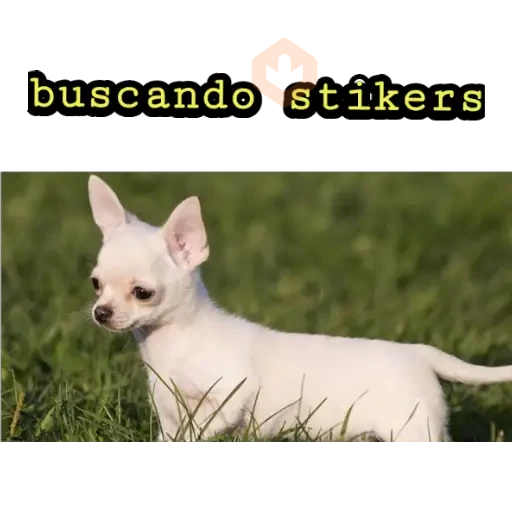 perritos haciendo caras 😌 sticker 17