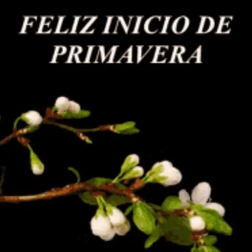 🌼🌼🌼 FELIZ PRIVAVERA 🌼🌼🌼