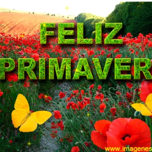 🌼🌼🌼 FELIZ PRIVAVERA 🌼🌼🌼