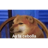 Animales chidoris😅