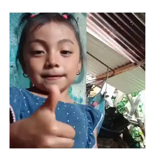 niña tiktok rosita 🌷😠 preview