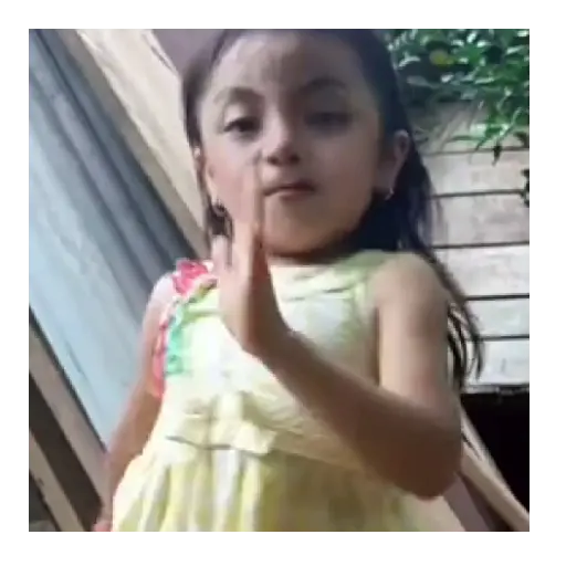 niña tiktok rosita 🌷😠