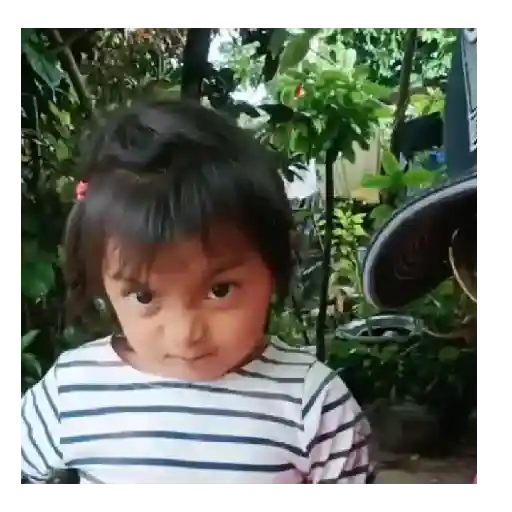 niña tiktok rosita 🌷😠