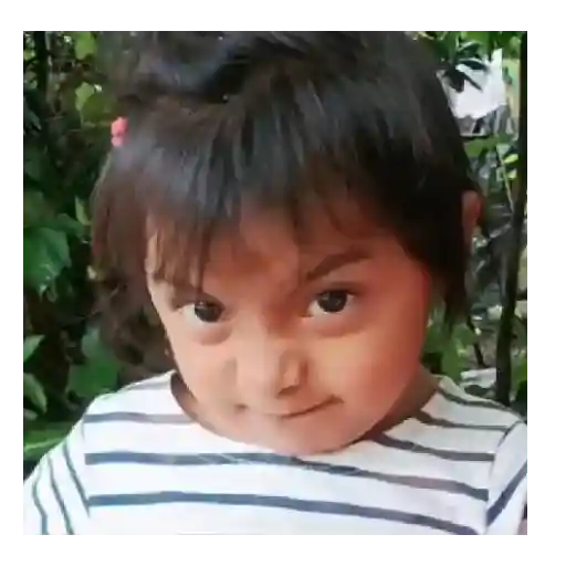 niña tiktok rosita 🌷😠 preview