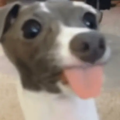 👅 LENGUITAAAAA 👅