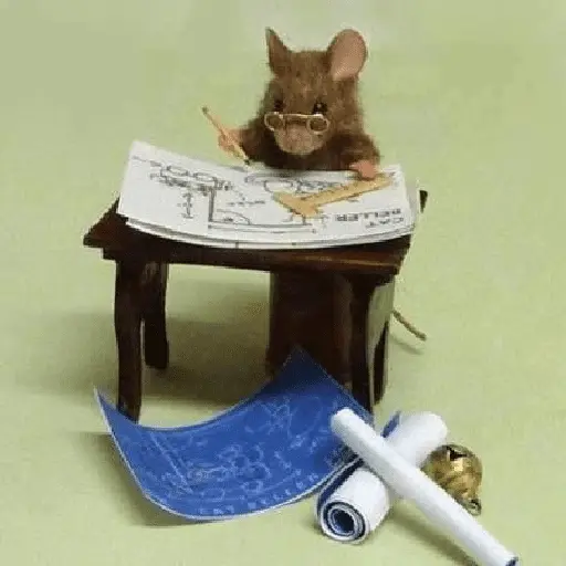 ratitas