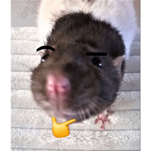 ratitas preview