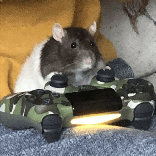 ratitas preview