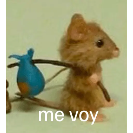 ratitas