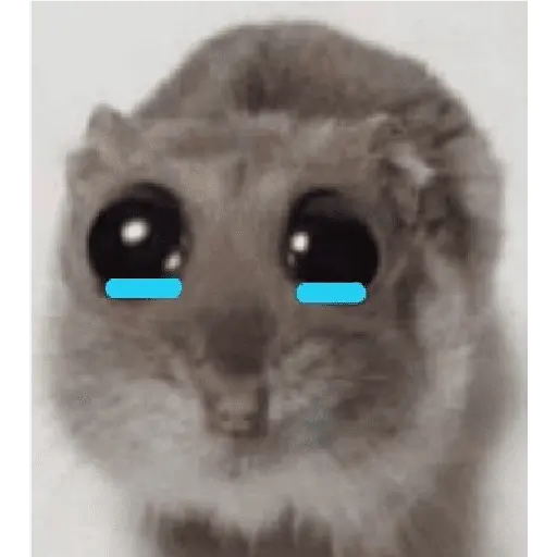 ratitas