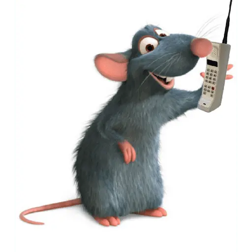 ratitas