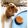 tray-icon