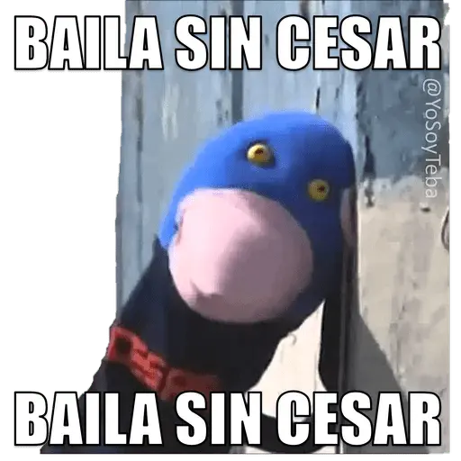 31 Minutos