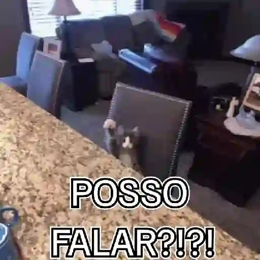 minhas figurinhas 