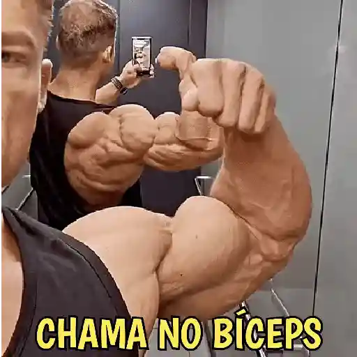 Gym Pack Academia e Treino