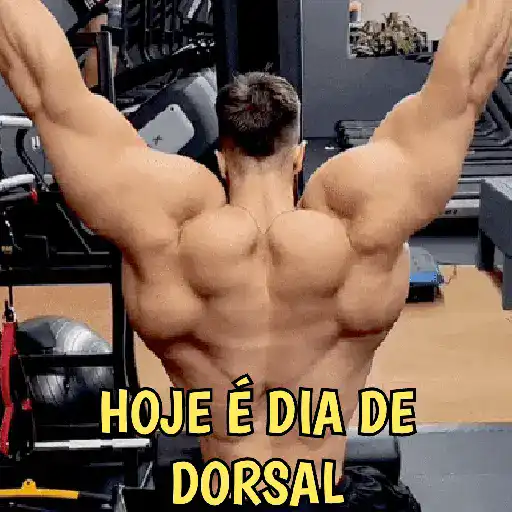 Gym Pack Academia e Treino
