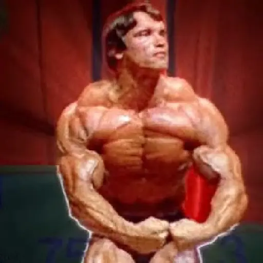 Gym Pack Academia e Treino preview