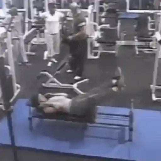 Gym Pack Academia e Treino