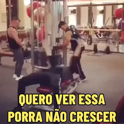 Gym Pack Academia e Treino