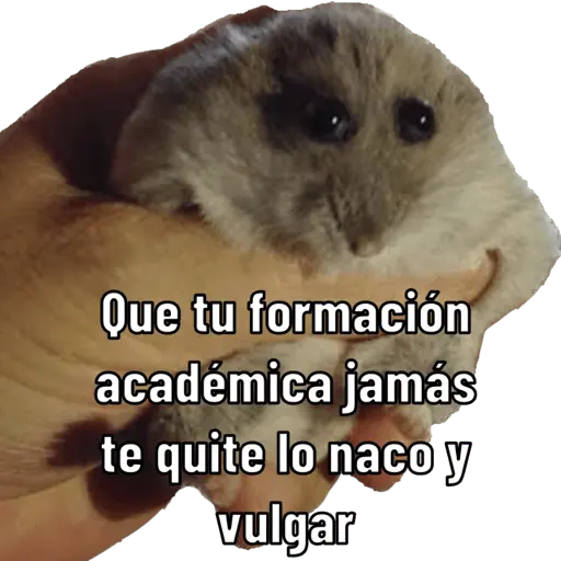 Animales miados