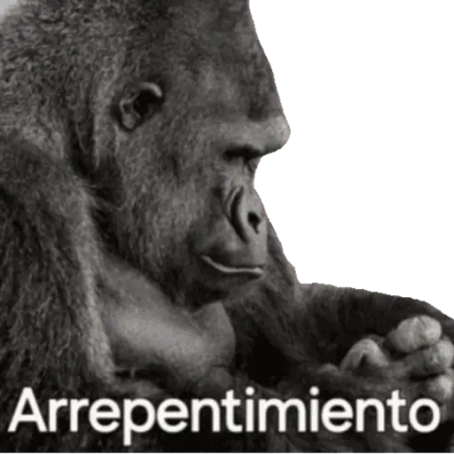 Animales miados