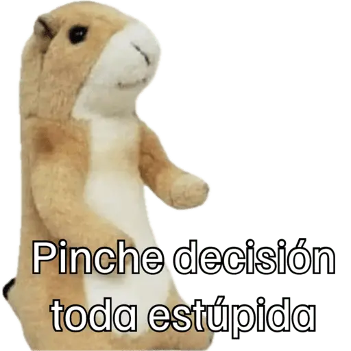 Animales miados