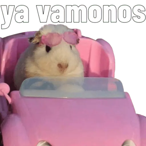 Animales miados