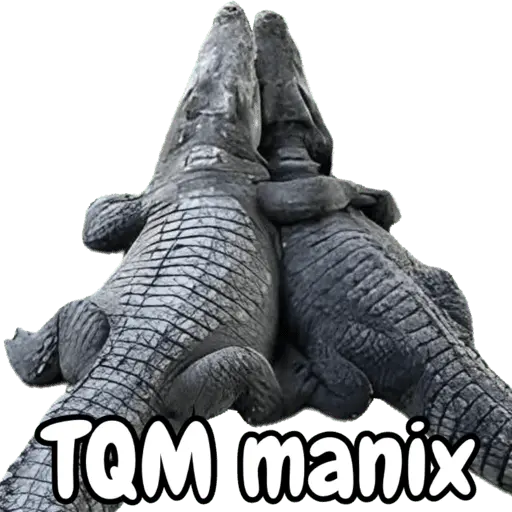 Animales miados