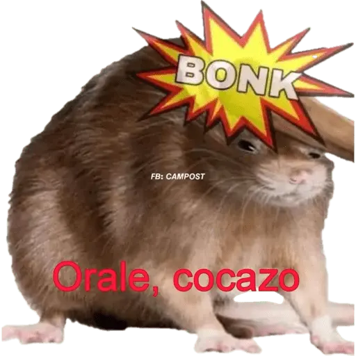Animales miados