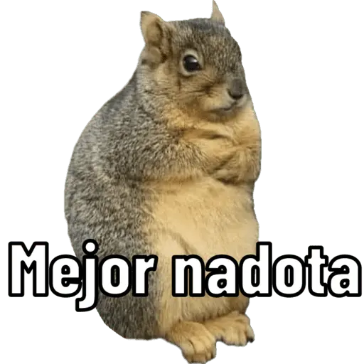 Animales miados