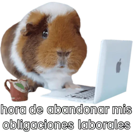 Animales miados