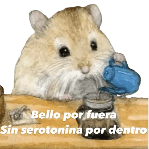 Animales miados