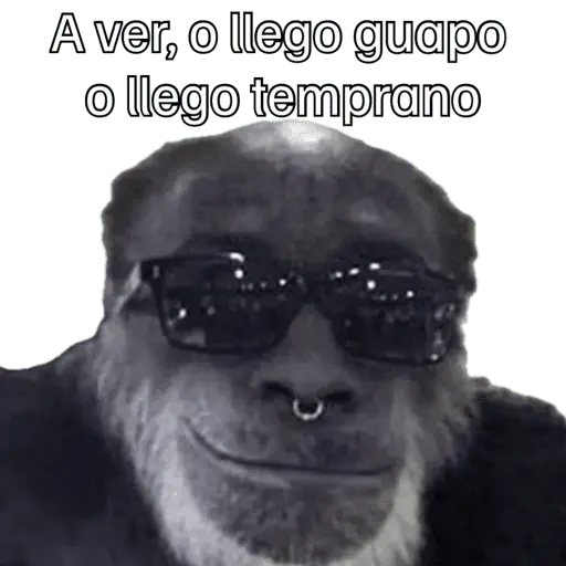 Animales miados