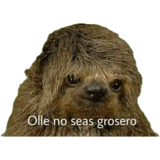 Animales miados