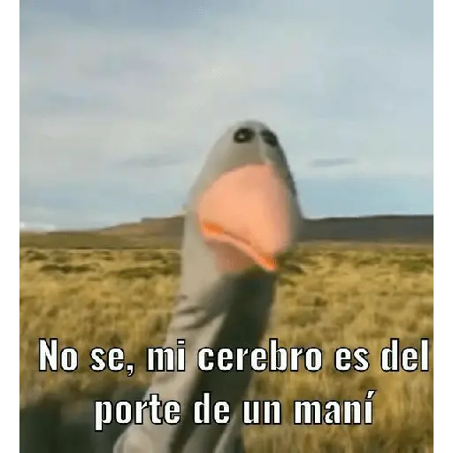 31 minutos