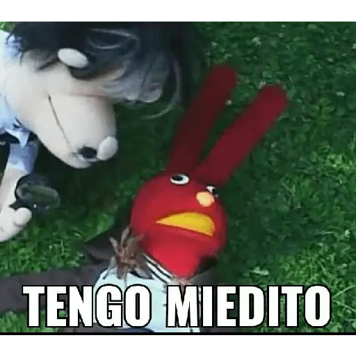 31 minutos