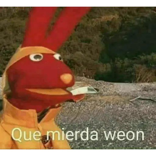 31 minutos